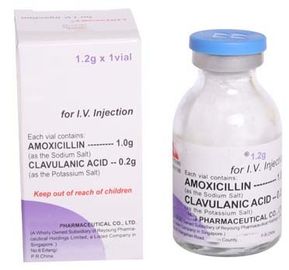Dry Powder Injection Amoxicillin Clavulanate Potassium