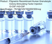 Rekombinan Granulocyte Colony Stimulating Factor Manusia G-CSF / rhG-CSF Filgrastim Injection
