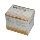 Kapsul Ampisilin Derivatif Sintetis 250 mg 500 mg Obat Antibiotik Oral