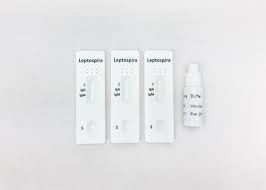 Kit Tes Skrining Darah Leptospirosis