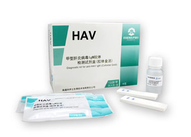 Kaset Tes Antigen Virus Hepatitis / Kaset Tes Cepat IgM HAV